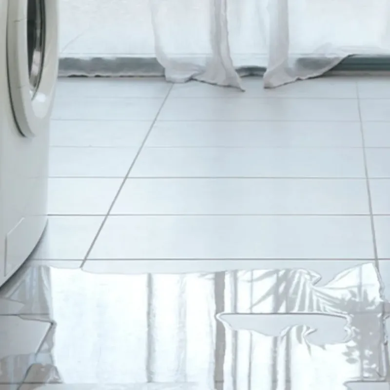 Appliance Leak Cleanup in Greenwood County, SC