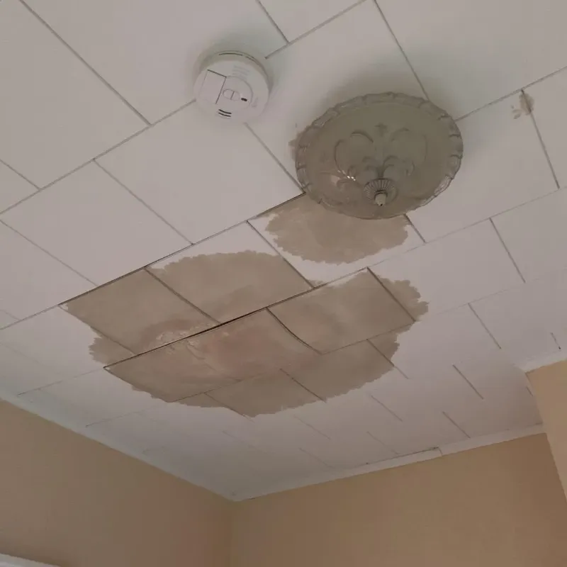 Ceiling Water Damage Repair in Greenwood County, SC