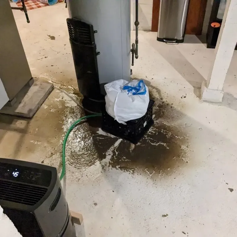Sewage Backup Cleanup Service in Greenwood County, SC